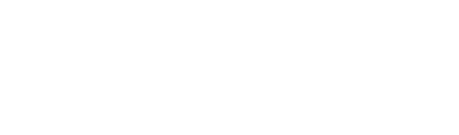 vice